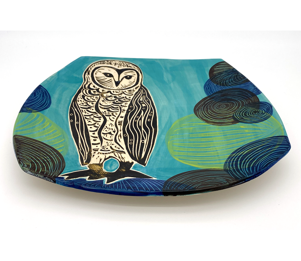 Barn Owl! - Julia Janeway